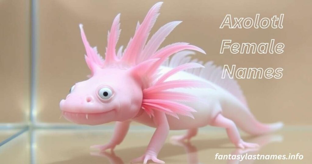 Axolotl Female Names