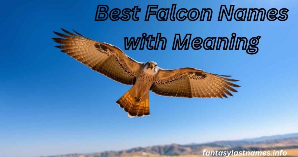 Best Falcon Names with Meaning