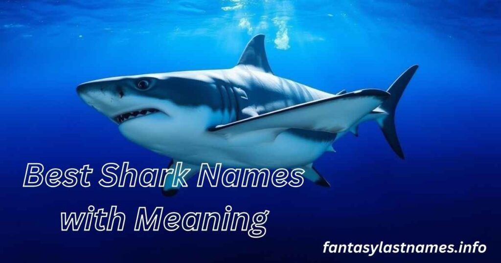 Best Shark Names with Meaning