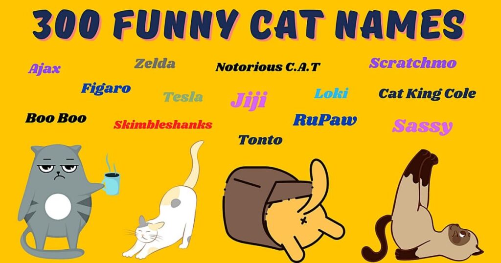 Humorous and Playful Names
