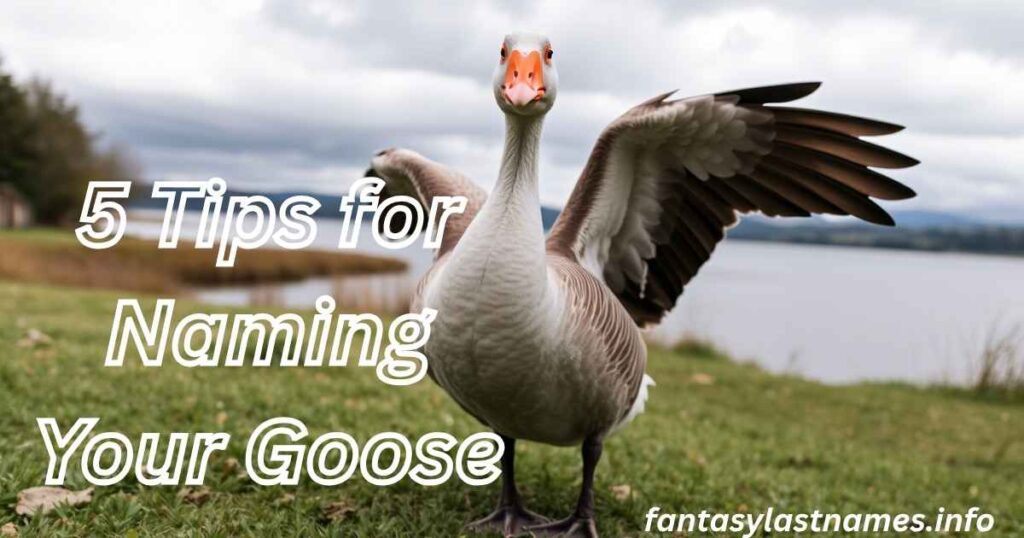 5 Tips for Naming Your Goose