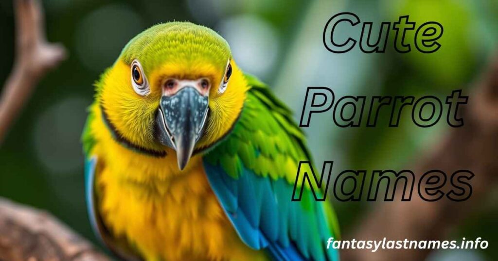 Cute Parrot Names