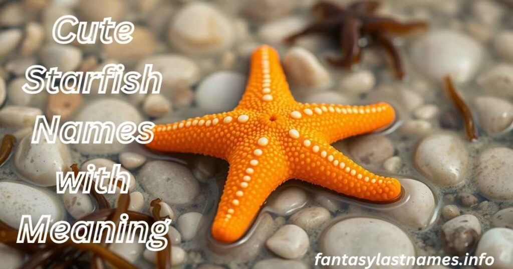 Cute Starfish Names with Meaning
