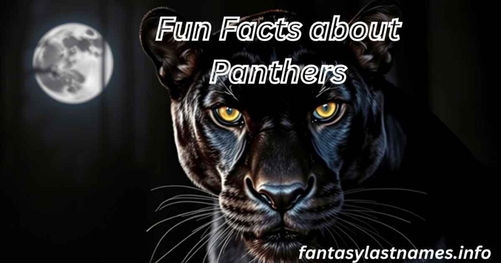 Fun Facts about Panthers