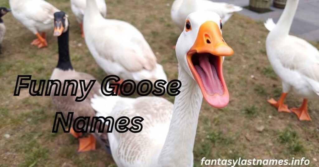 Funny Goose Names