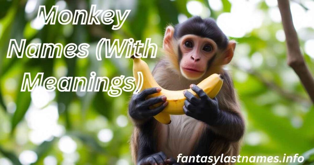 Monkey Names (With Meanings)
