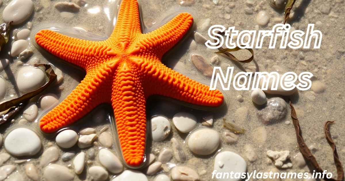 Starfish Names