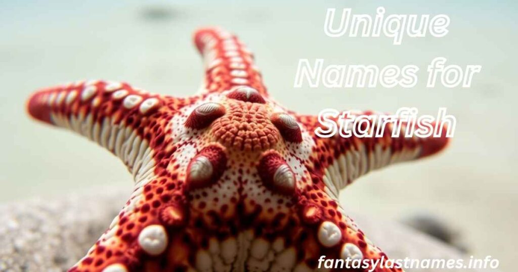 Unique Names for Starfish